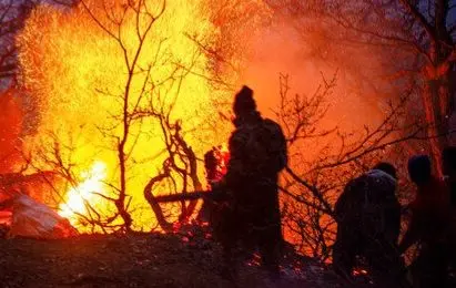 حریق در جنگل های گیلان؛ اطفای آتش‌سوزی همچنان ادامه دارد