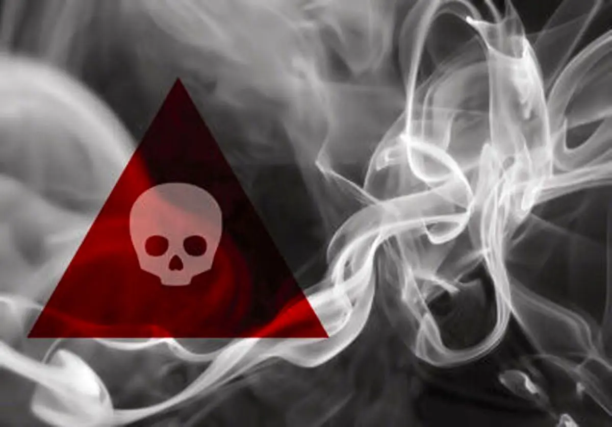 گازگرفتگی جان سه عضو خانواده الیگودرز را گرفت