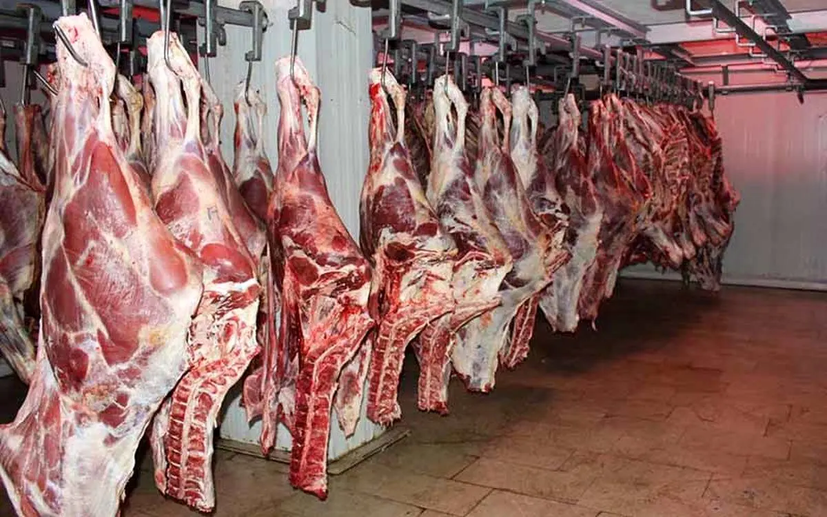 انتقاد یک نماینده مجلس از واردات گوشت قرمز به کشور