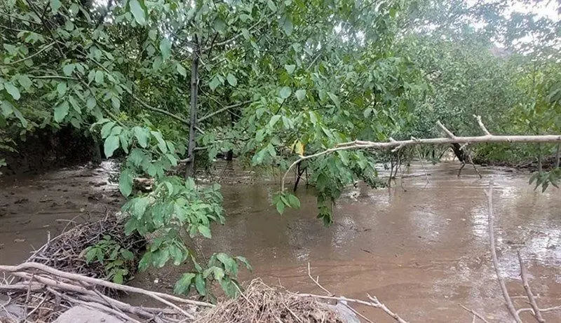 ۱۱ فوتی و ۴ مفقودی در سیلاب فیروزکوه