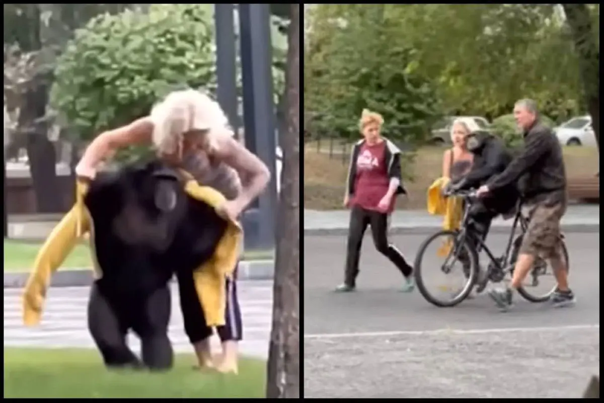 شامپانزه فراری باغ وحش خارکیف بدون دریافت رشوه حاضر به بازگشت به قفسش نشد+ ویدئو