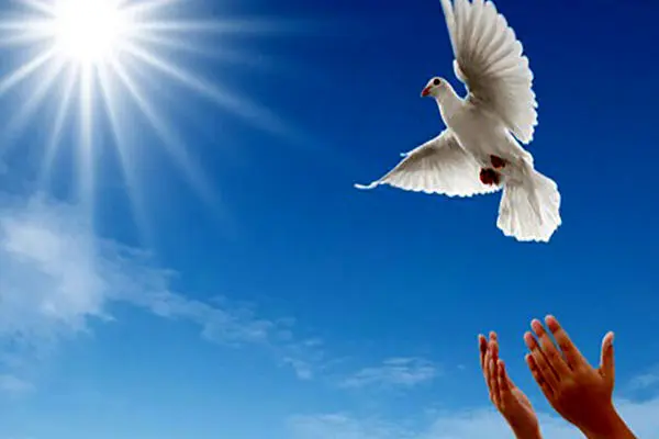 بخشش مردی که در دعوا بر سر ضایعات مرتکب قتل شد