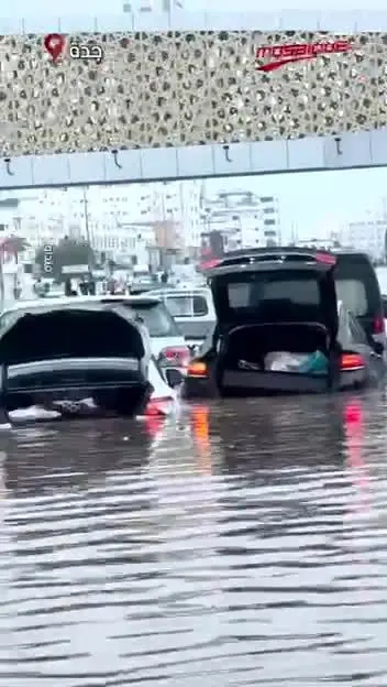 ببینید| جده زیر آب رفت
