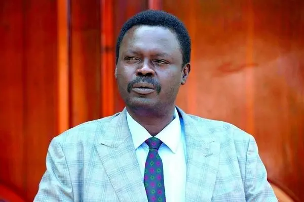 حاکم دارفور: ۸۵ درصد از نیروهای «پشتیبانی سریع»، خارجی هستند که از کشورهای همسایه به سودان منتقل شده‌اند