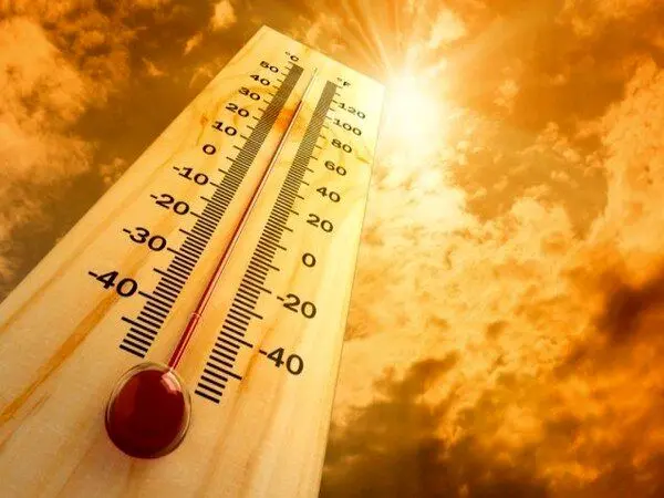 سازمان هواشناسی: گرمای بی‌سابقه طی ۱۱ سال اخیر صحت ندارد