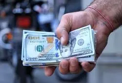 قیمت دلار صبح امروز پنجشنبه ۱۳ آذر ۱۴۰۴؛ دلار در بازار آزاد چند شد؟