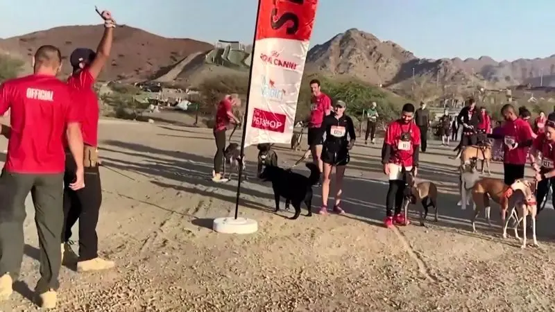 مسابقه عجیب| دوی انسان و سگ در امارات برگزار شد