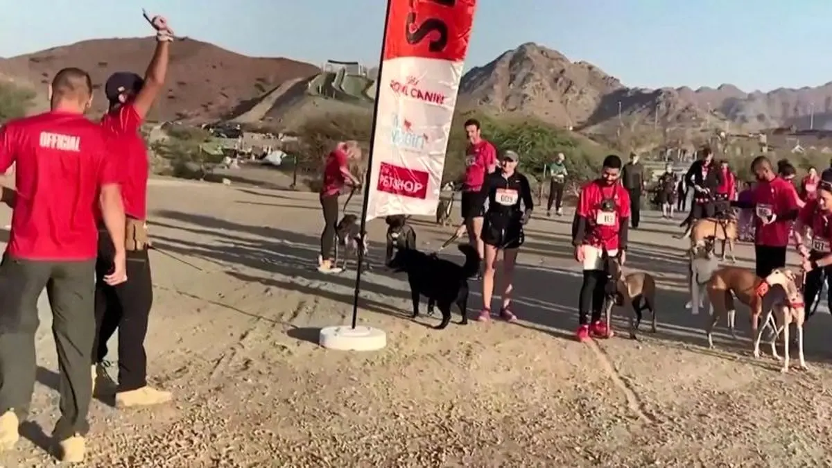 مسابقه عجیب| دوی انسان و سگ در امارات برگزار شد