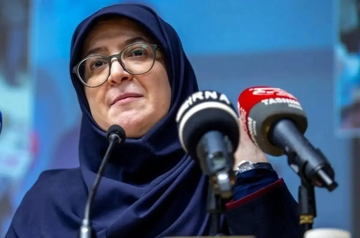 دولت،زمينه،هيئت،مهاجراني،اقشار،اظهار
