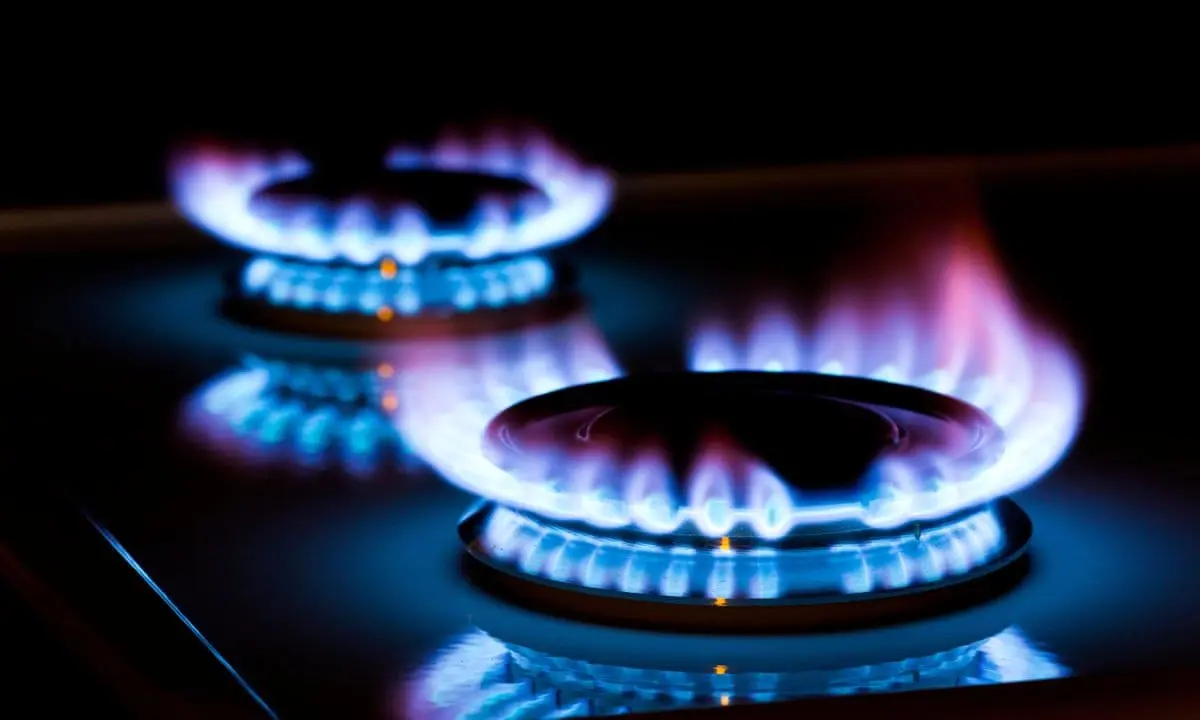 وزارت نفت خواستار حذف یارانه گاز مشترکان پرمصرف شد