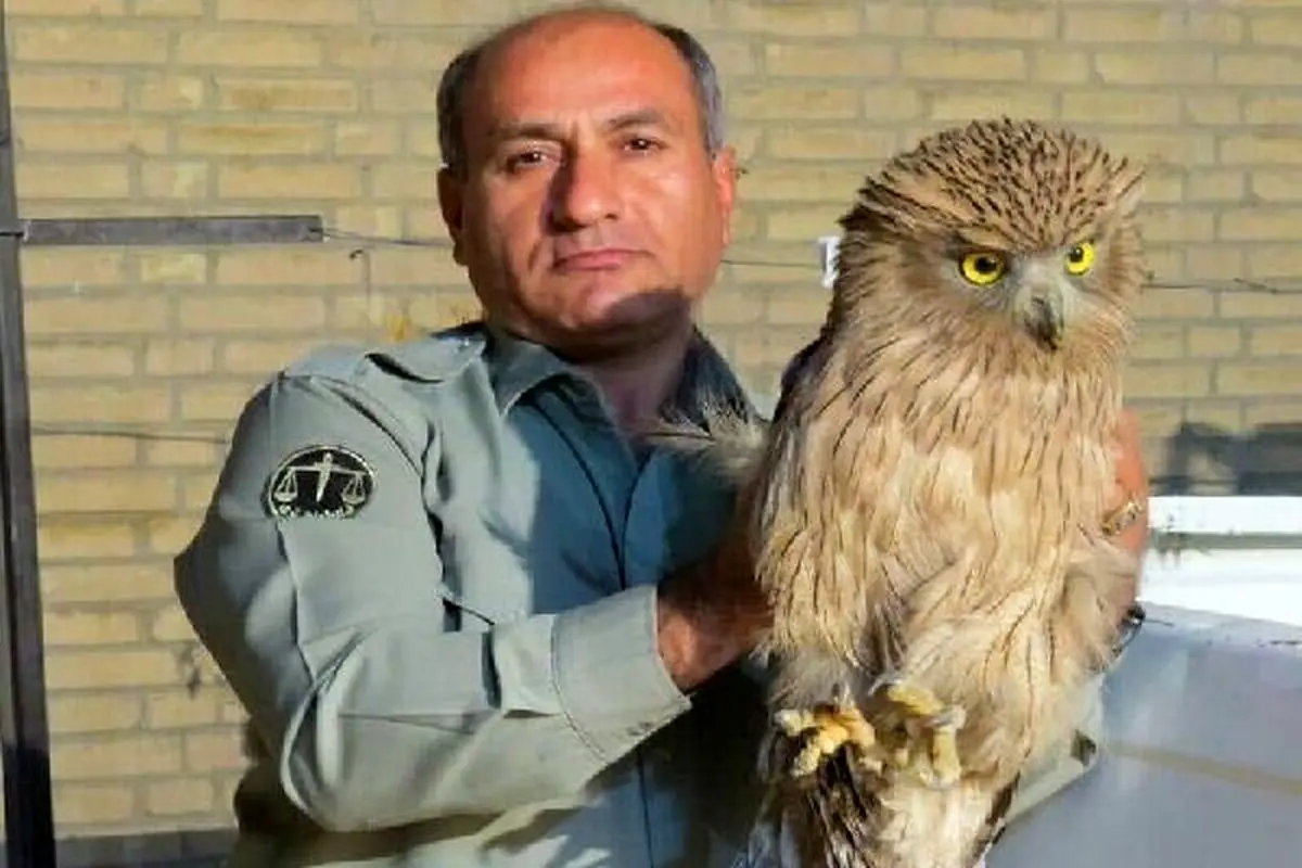 قتل سالانه ۴ محیط‌بان در ایران؛ قاتل هدایت‌الله دیده‌بان هنوز متواری است!