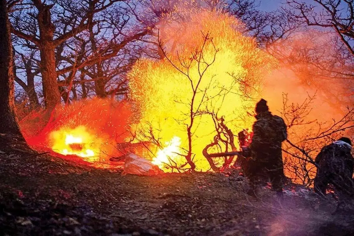 طبيعي،كشور،بررسي،كميسيون،منابع،گزارش،اليت،امور،منطقه،سازمان، ...