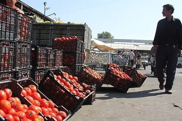 صادرات پیاز و گوجه‌فرنگی به زودی محدود می‌شود