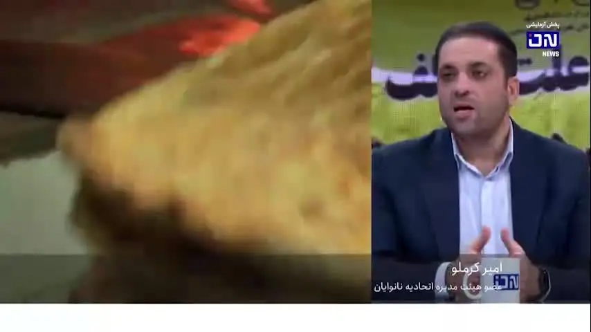 ببینید| چرا نان گران شده؟