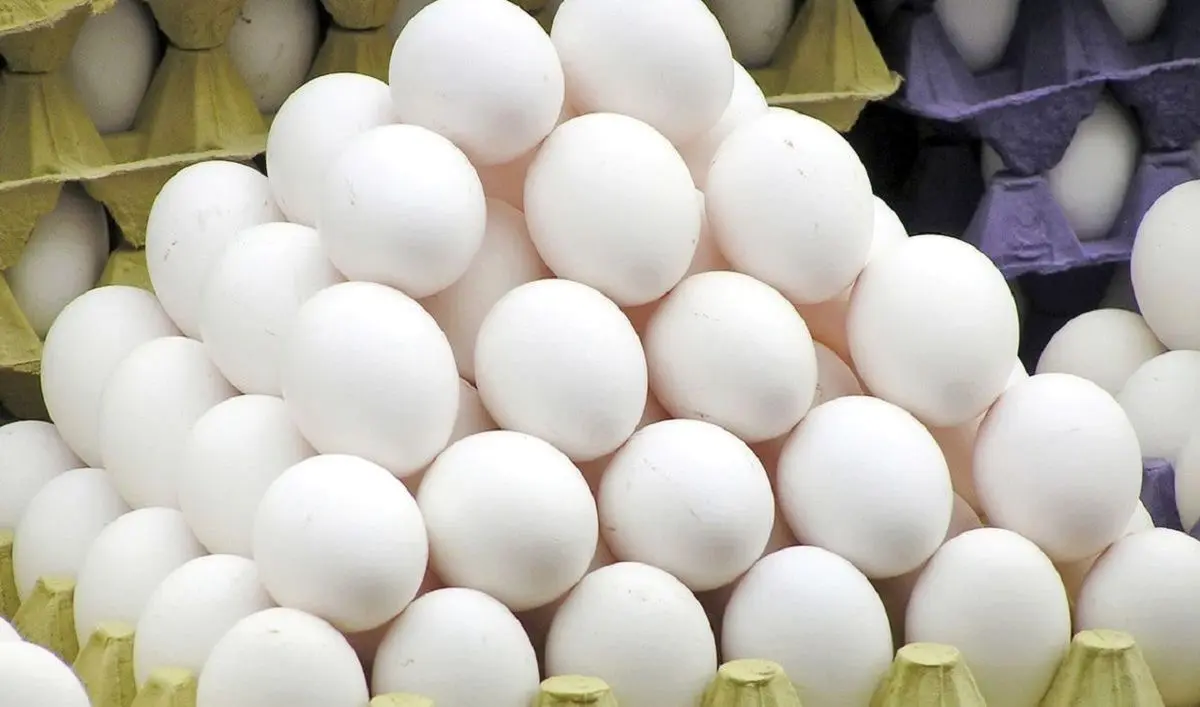 عراق راه ورود تخم مرغ‌های ایرانی را نمی‌بندد