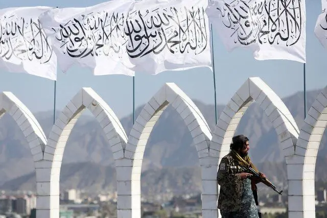 طالبان،اينترنت،فيبر،تعويض،ممنوعيت