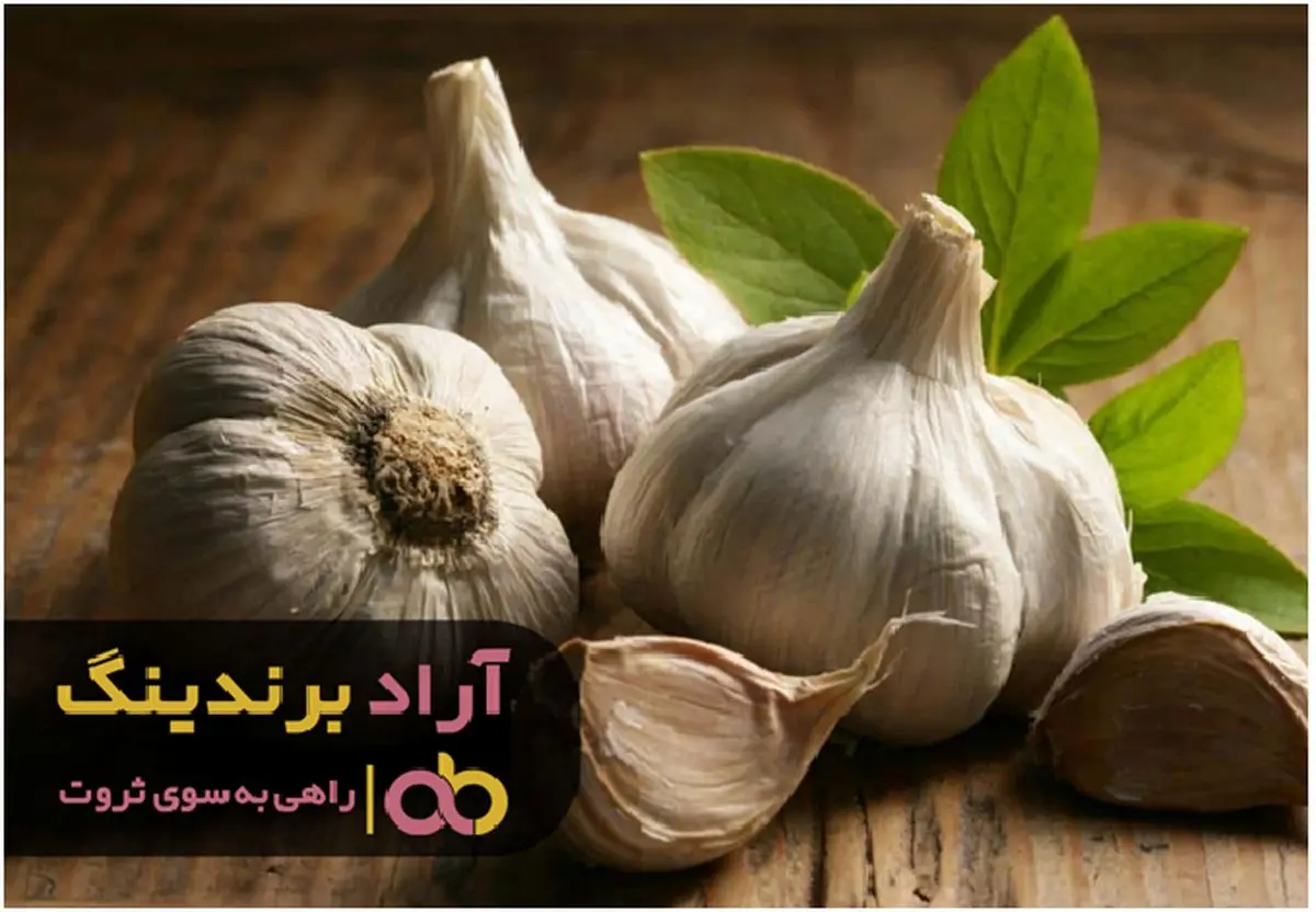 خوردن سیر سبز چه فوایدی دارد؟