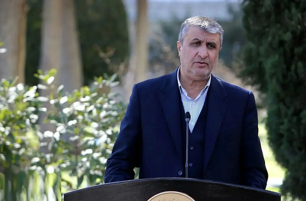 رئیس سازمان انرژی اتمی: تصویب قانونی برای منع حمله نظامی به تأسیسات هسته‌ای ضروری است