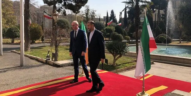 وزیر خارجه ایرلند با امیرعبداللهیان دیدار کرد