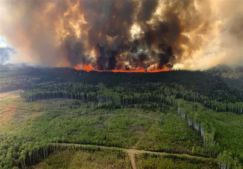 آتش‌سوزی جنگل‌های هاوایی؛ افزایش قربانیان به حداقل 89 نفر