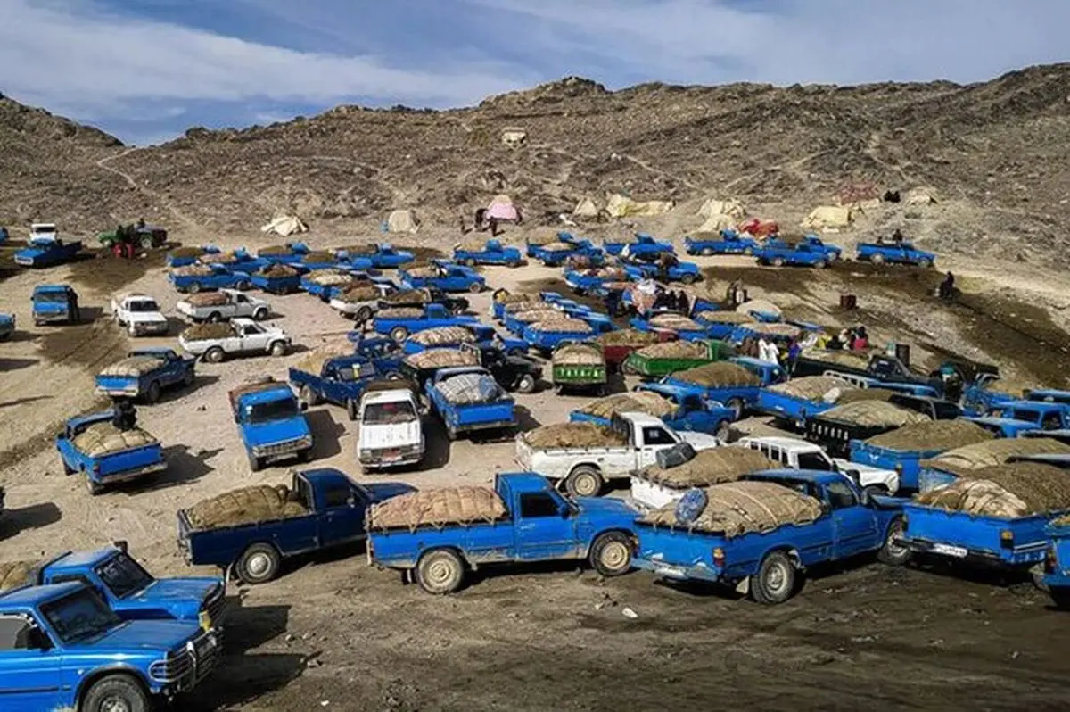 تعقیب و گریز قاچاقچیان سوخت در هرمزگان