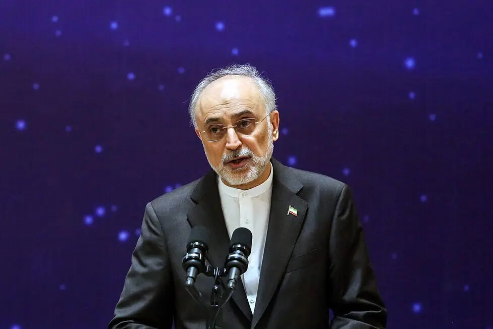 اساسي،قانون،روابط،ــ،خارجي،مسائل،تكليف،پيشين،روشن،صالحي،قله، ...