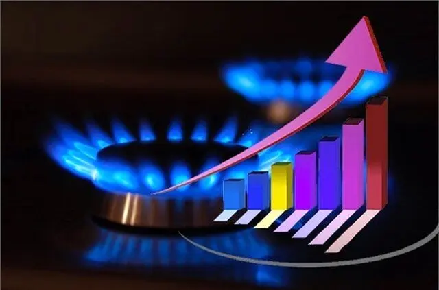 شرکت ملی گاز: در مصرف گاز صرفه‌جویی کنید