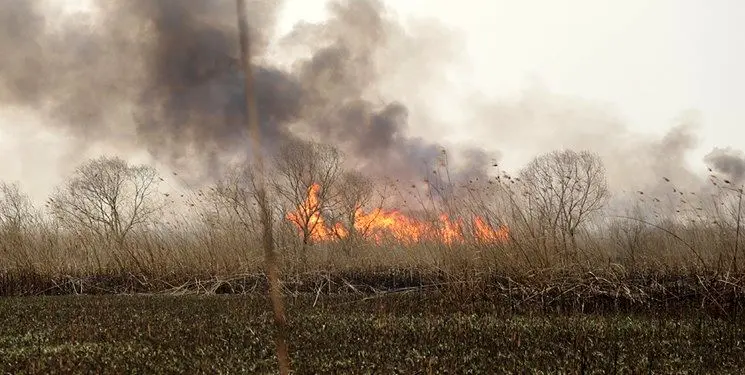 آتش‌سوزی ۲۰ هکتار از قسمت عراقی تالاب هورالعظیم/ درخواست تامین هواپیمای آبپاش در حال پیگیری است