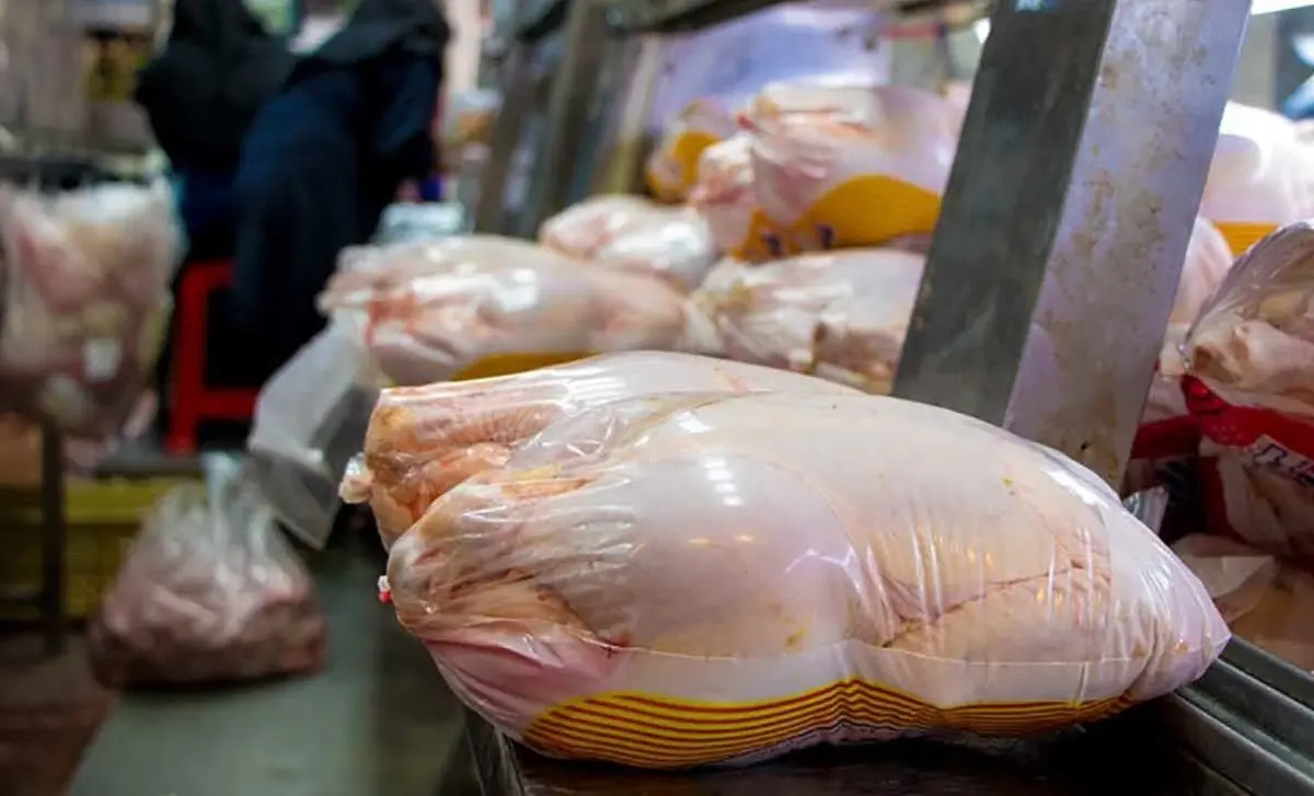 قیمت مرغ آماده برای طبخ ۷۰ هزار تومان است