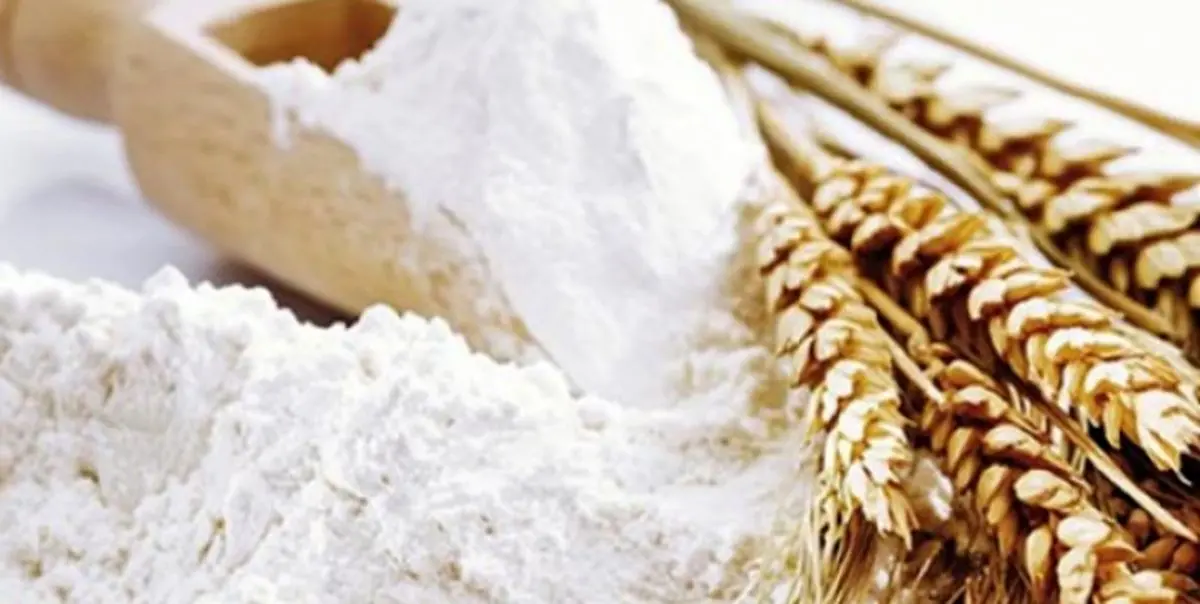 مصرف گندم پس از اصلاح یارانه ها 30 درصد کم می شود