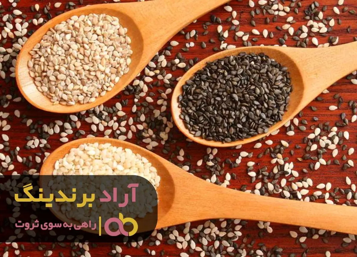 با تغییر شخصیتم درآمدم چند برابر شد