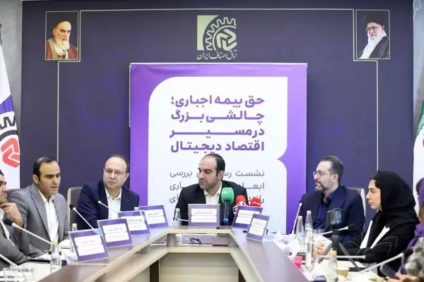 پلتفرم‌ها و نهادهای صنفی اقتصاد دیجیتال حامی بیمه رانندگان، اما مخالف روش اجباری‌اند

