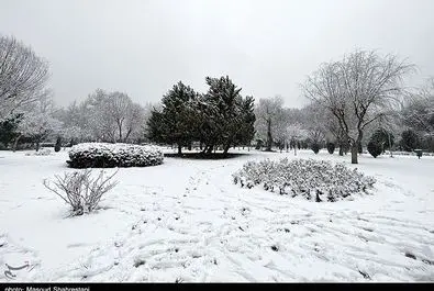 تهران برفی برف تهران -- عکس با لوگو