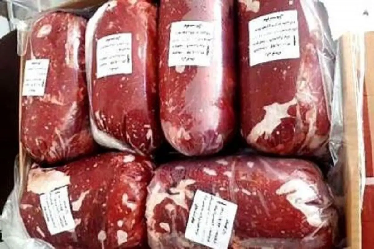 بیش از ۳۵ هزار تن گوشت منجمد برزیلی آماده ورود به کشور