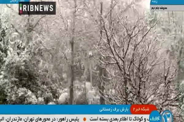 ببینید | تصاویری از بارش برف در شهر تهران