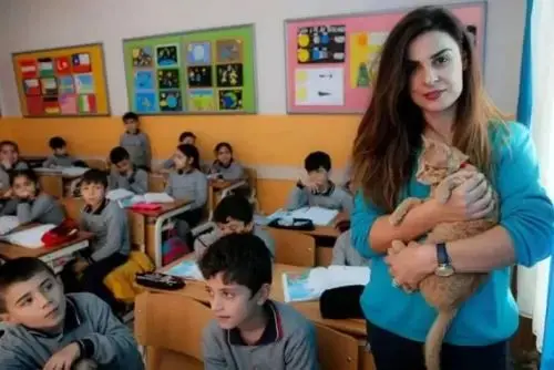 اختلالات،مرتبط،اسكيزوفرني،انگل،مطالعه،پرورش،ارتباط،باليني