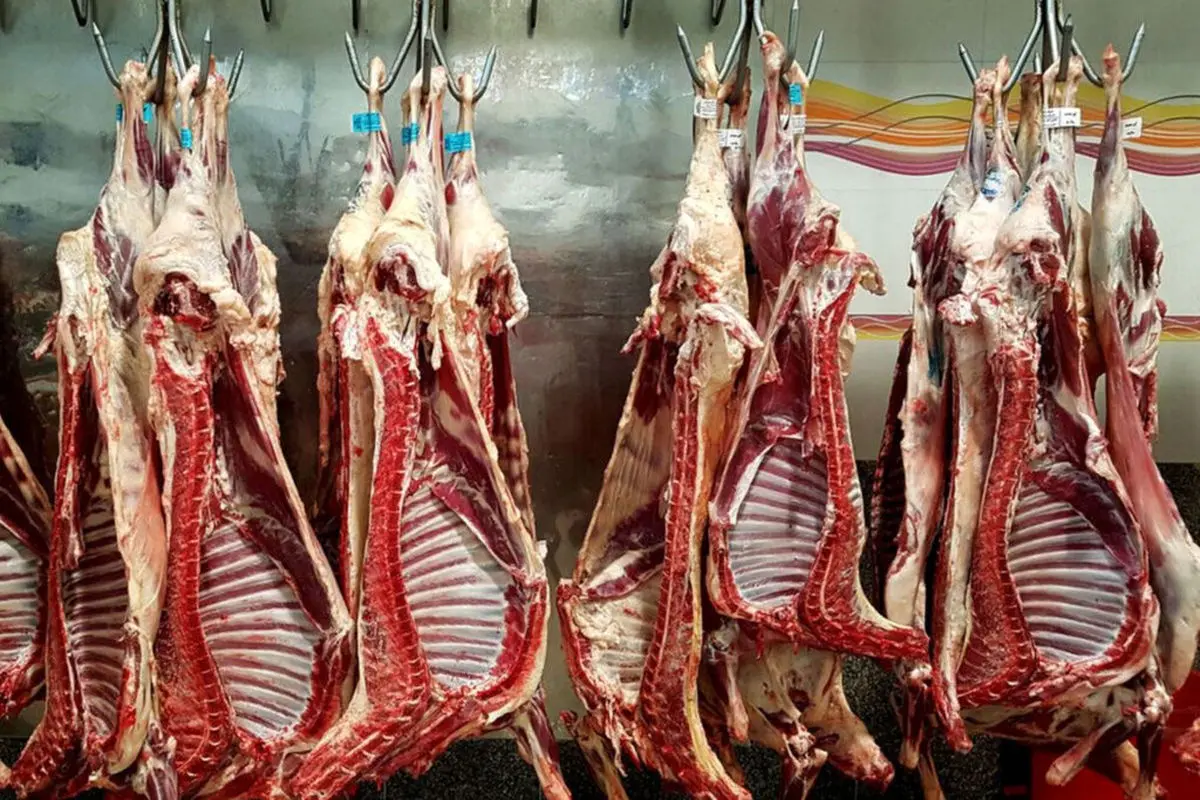 افزایش 79 درصدی قیمت گوشت قرمز در یک سال
