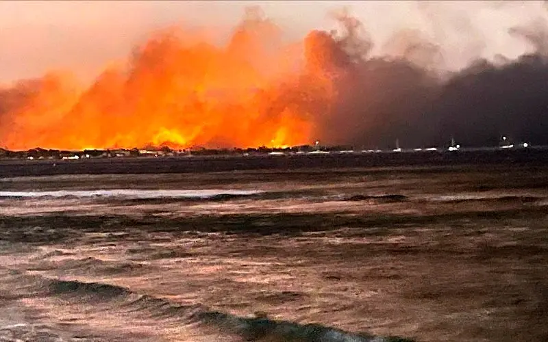 افزایش قربانیان آتش‌سوزی‌های هاوایی به 80 کشته