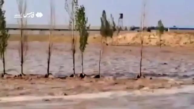 ساميان