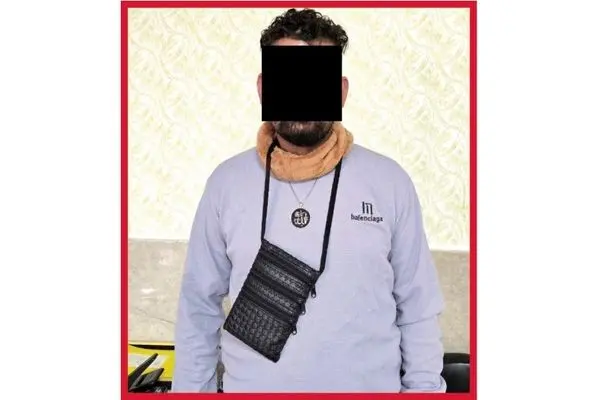 اعتراف «مارمولک سارق»  به 50 فقره سرقت