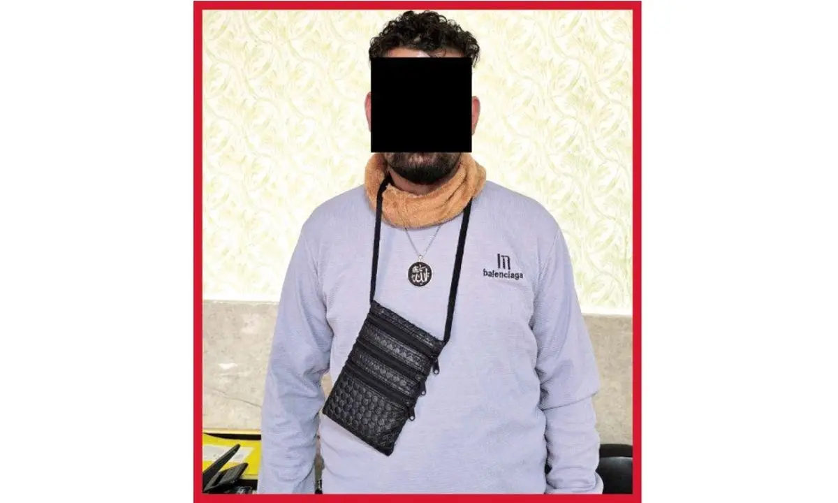 اعتراف «مارمولک سارق»  به 50 فقره سرقت