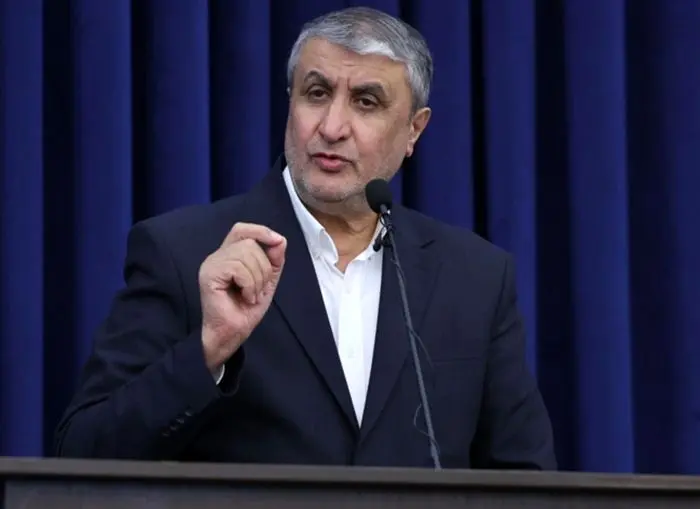 ايران،اسلامي،اتمي،انرژي،رييس،آژانس،سفر،حضور،سازمان،حقايق،كشورمان