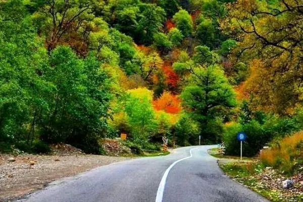 مسیرهای منتهی به جنگل‌های کلاردشت مسدود شد