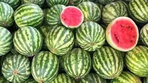 حمله کانتیرهای ترک به بازار میوه و تره بار برای صادرات هندوانه 
