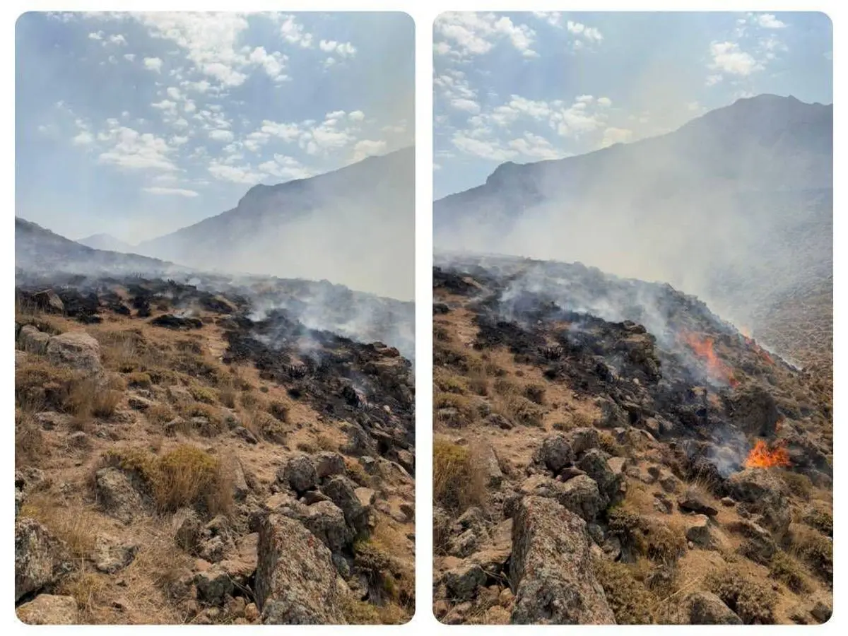 آتش‌سوزی در پارک ملی لار مهار شد