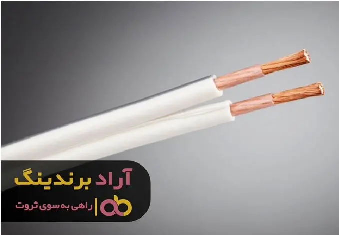 اولین قدم برای رسیدن به ثروت را بیاموزید!