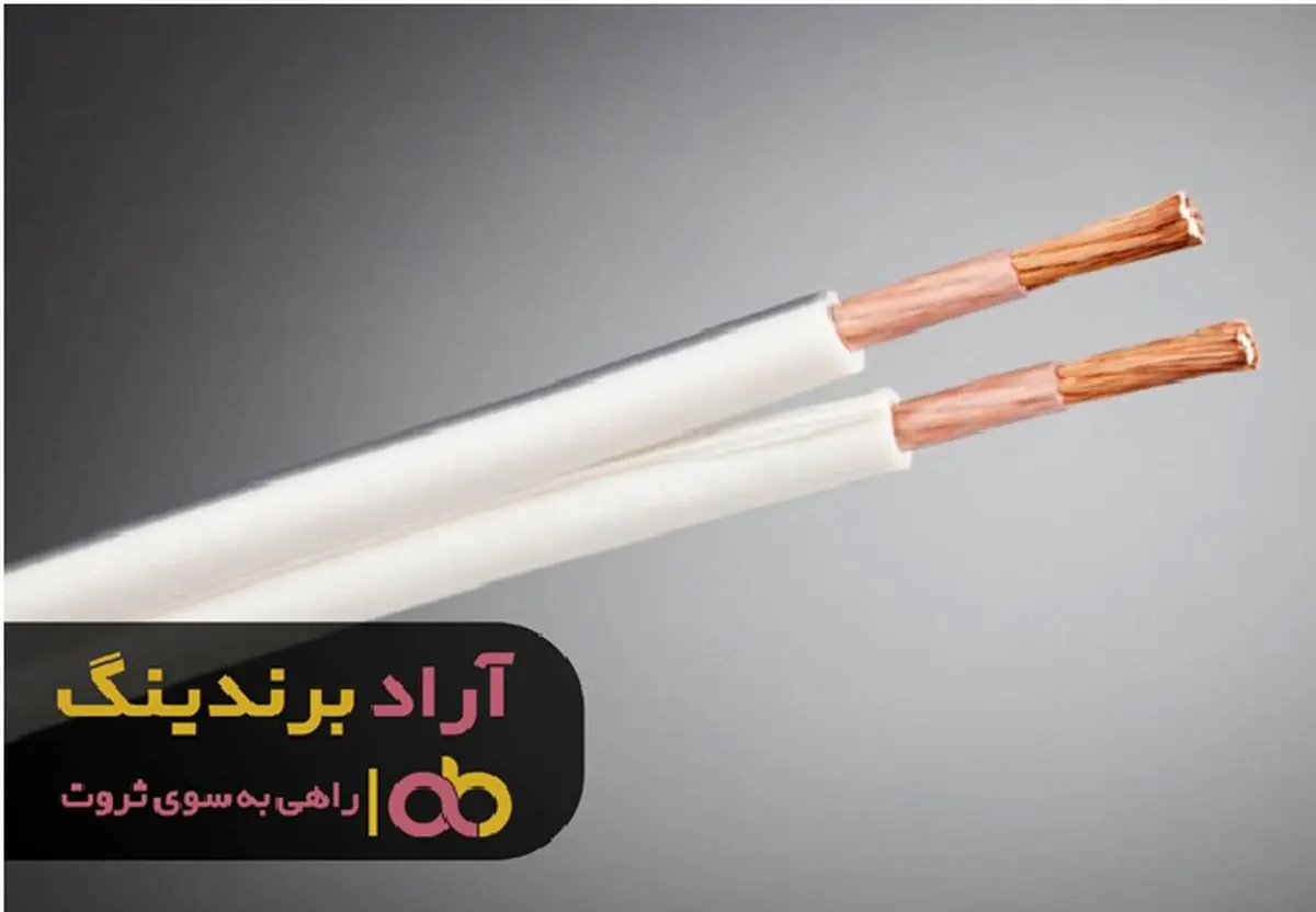 اولین قدم برای رسیدن به ثروت را بیاموزید!