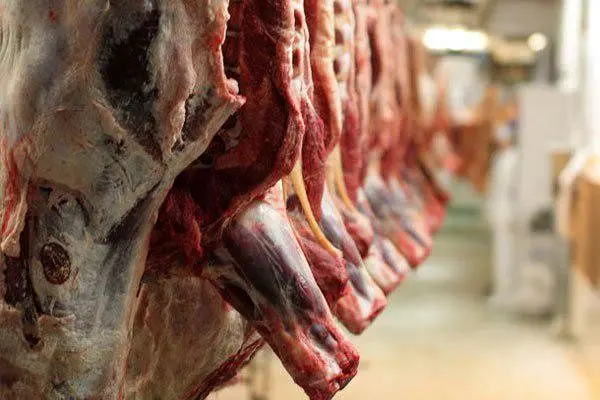 قیمت روز گوشت قرمز در بازار خرده فروشی/ راسته با استخوان گوسفندی چند؟