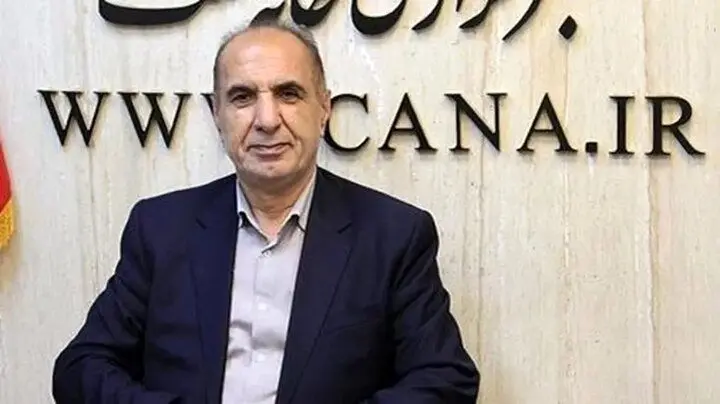 كشور،اتباع،غيرمجاز،ورود،اقدامات،كميسيون،مجلس،شوراها،آمار