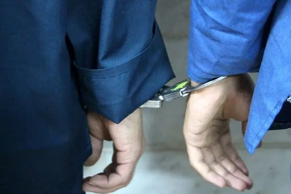 دزدی از خانه پدربزرگ، کار نوه‌ها بود